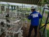 Comprehensive Maintenance & Safety Inspection Services,industrial gas safety inspection